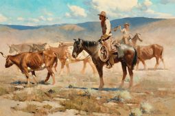 Cowboys and Steers